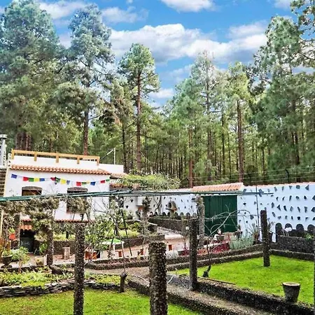 La Casa Encantada Del Bosque *