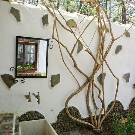 La Casa Encantada Del Bosque * Icod De Los Vinos