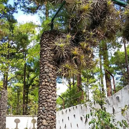 La Casa Encantada Del Bosque Dom wakacyjny Icod De Los Vinos