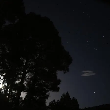 La Casa Encantada Del Bosque
