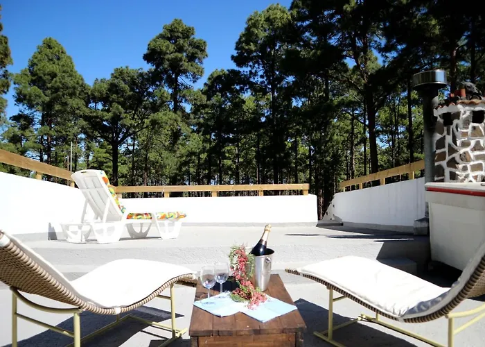 La Casa Encantada Del Bosque Hébergement de vacances Icod De Los Vinos