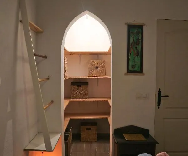 La Casa Encantada Del Bosque *