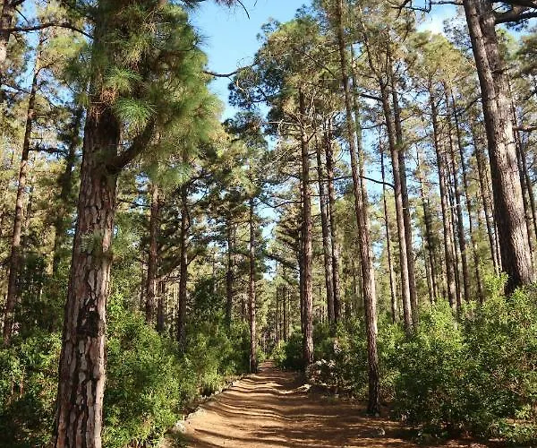 La Casa Encantada Del Bosque Feriehus *