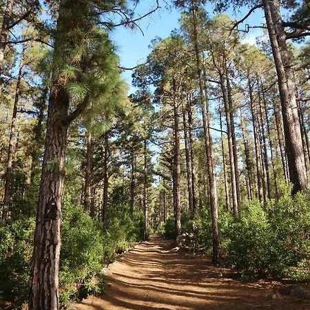 La Casa Encantada Del Bosque Hébergement de vacances *