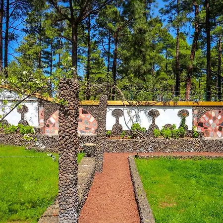 La Casa Encantada Del Bosque