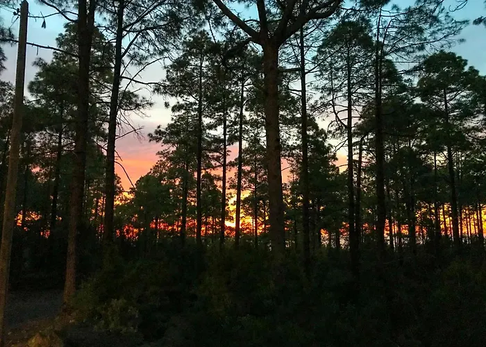 La Casa Encantada Del Bosque