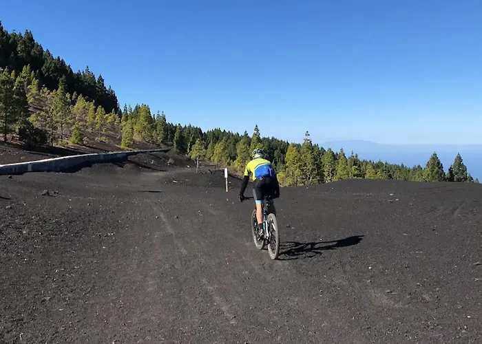 別荘 La Casa Encantada Del Bosque