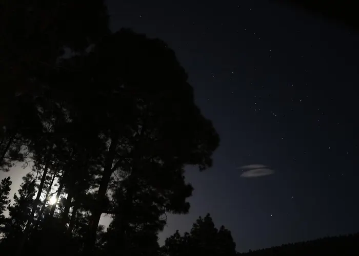 La Casa Encantada Del Bosque