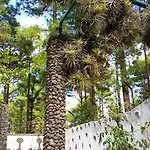 La Casa Encantada Del Bosque بيت للعطل إيكود ذي لوس فينوس
