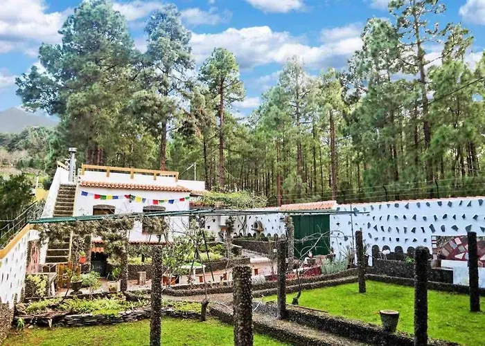 La Casa Encantada Del Bosque *